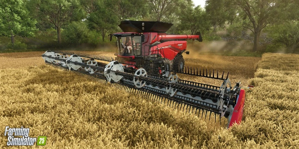 Farming Simulator 25 CZ (Collector’s Edition) PC